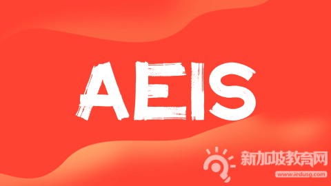 AEIS与S-AEIS考试全解析：新加坡政府中小学留学指南