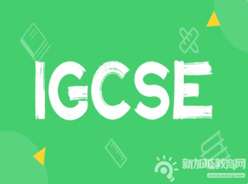 IGCSE成绩：假期学术飞跃攻略，助力G5名校冲刺