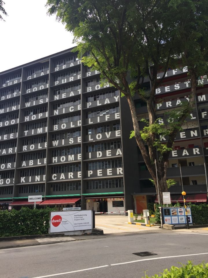 去新加坡读小学,新加坡南洋艺术学院