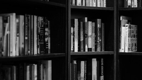 bookshelves-932780__340.jpg