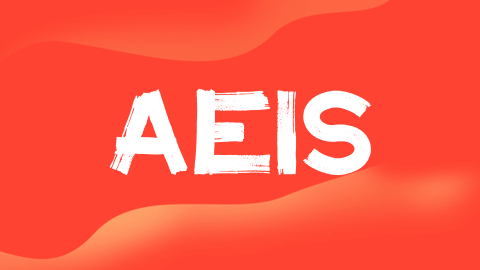 AEIS与S-AEIS区别解析：避免盲目备考，精准应对新加坡政府学校入学考试